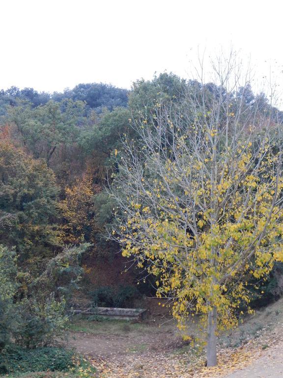 Casa Canut Tartareu 外观 照片